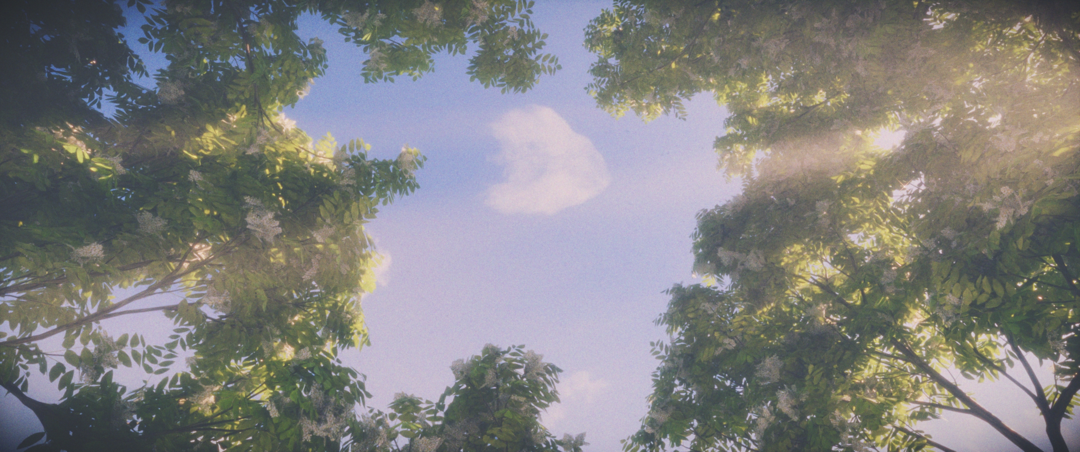 星夜のアリア - 5